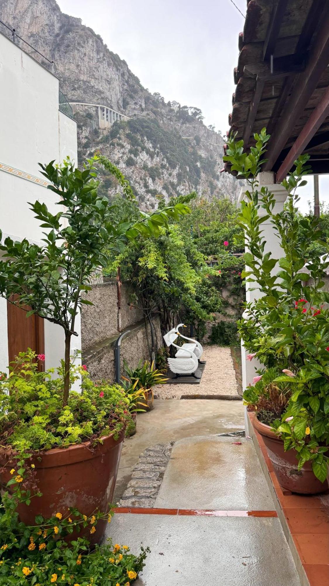Il Cigno B&B Capri Ngoại thất bức ảnh