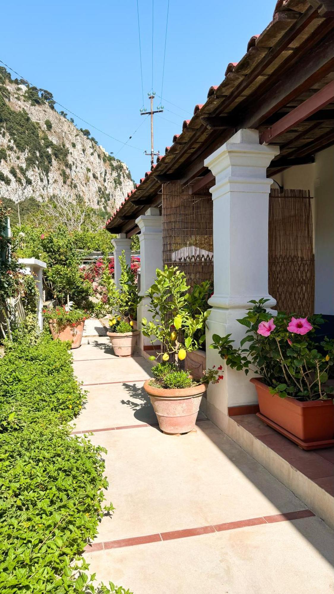 Il Cigno B&B Capri Ngoại thất bức ảnh