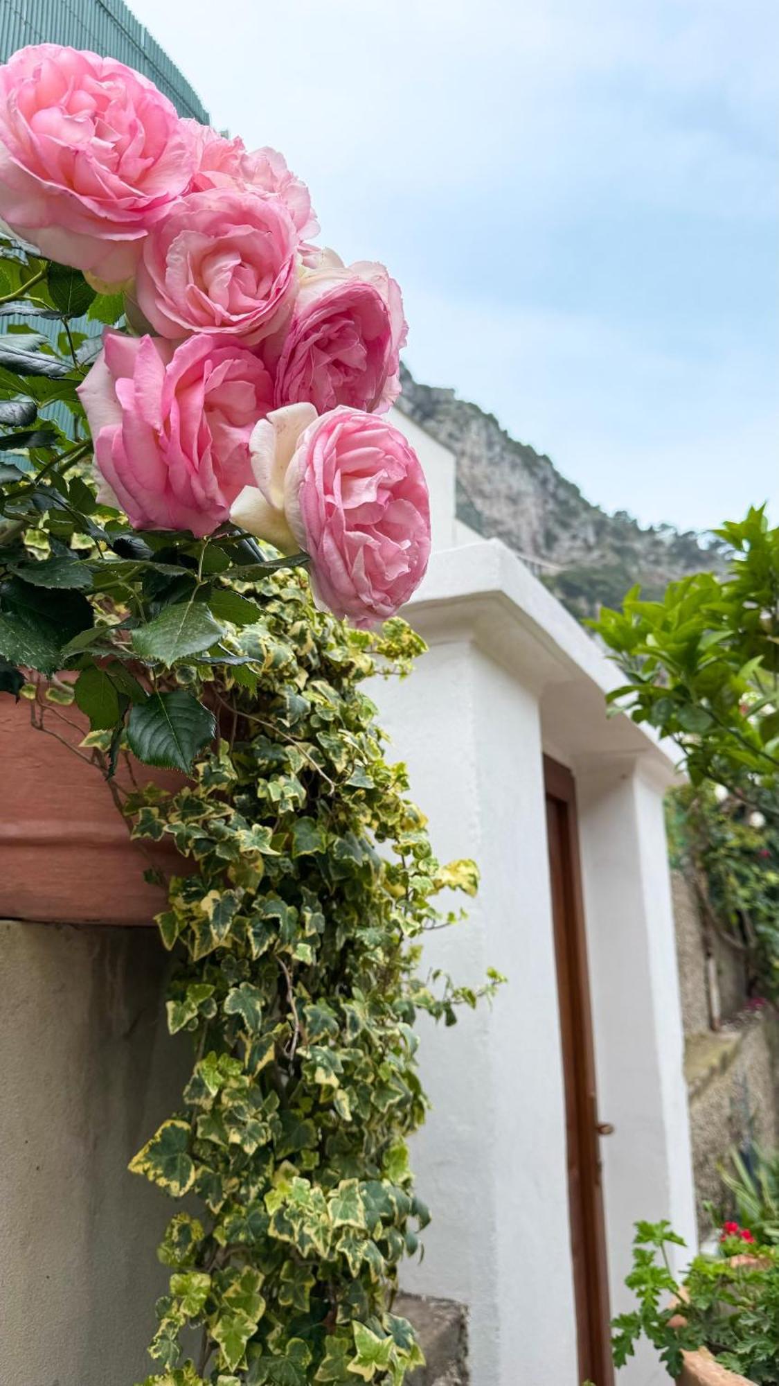 Il Cigno B&B Capri Ngoại thất bức ảnh