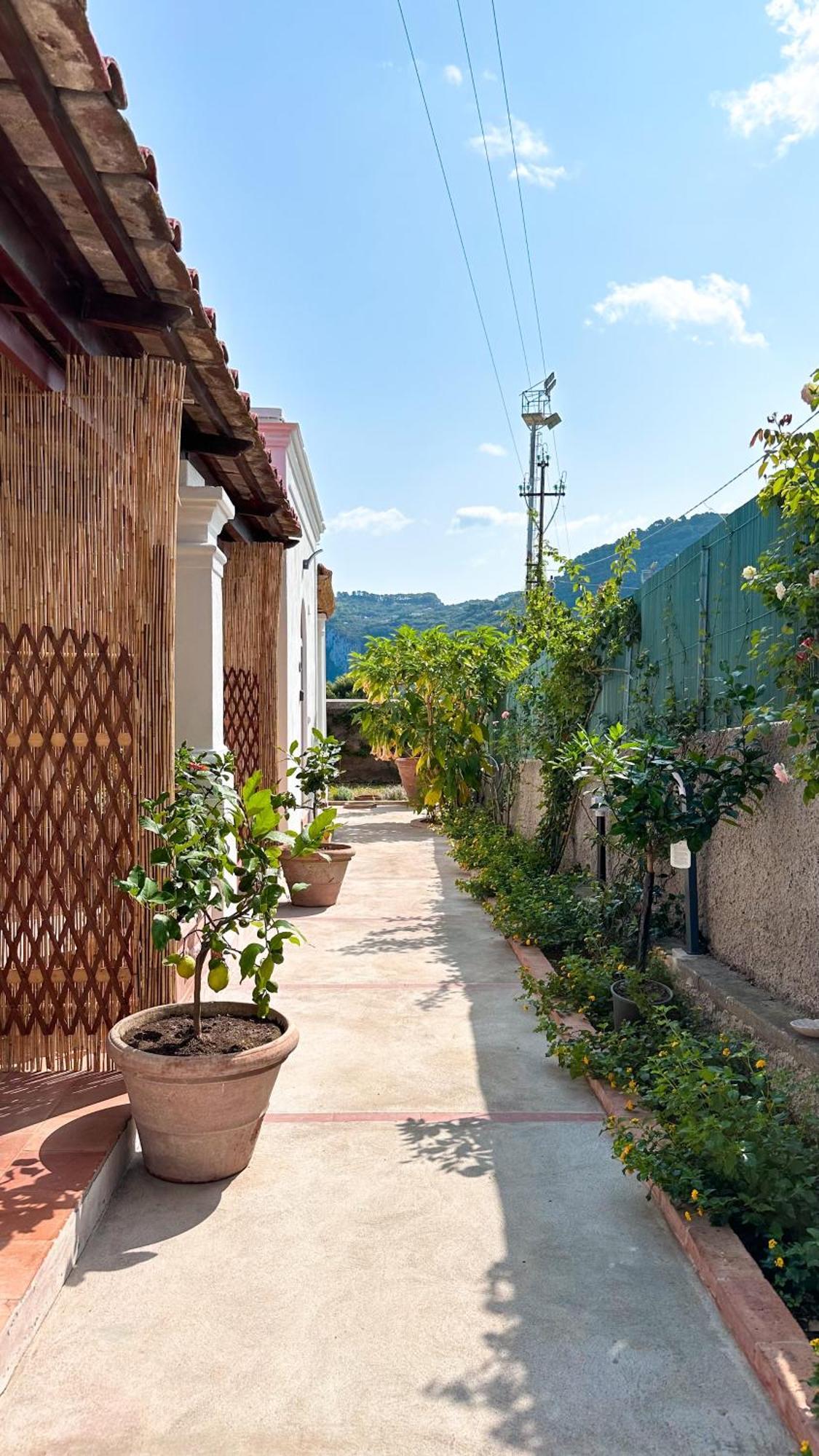 Il Cigno B&B Capri Ngoại thất bức ảnh
